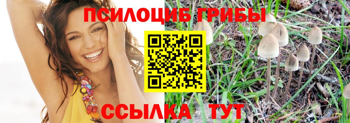 Псилоцибиновые грибы MAGIC MUSHROOMS Железногорск