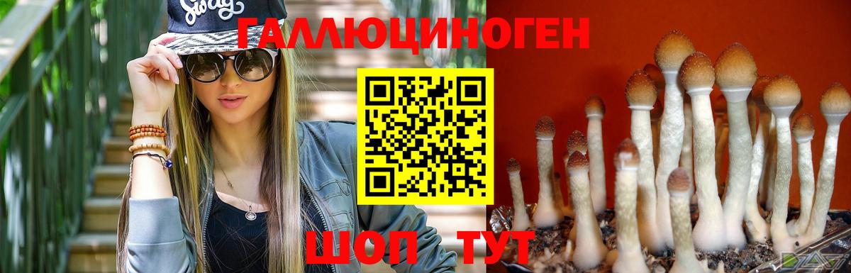 Железногорск  Псилоцибиновые грибы Magic Shrooms  Вход с VPN 
