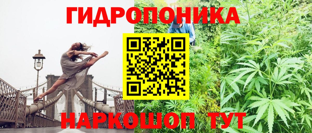 Бошки Шишки марихуана  Канабис семена  МАРИХУАНА OG Kush  Железногорск  Вход с VPN 